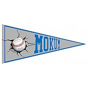 Banderin Mokum Hawks