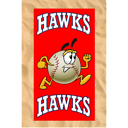 Toovera de playa:Mr. Baseball Run