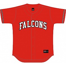 Falcons Team