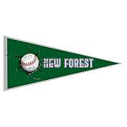 BanderinNew Forest Thunderknights
