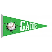 Augsburg Gators Pennant