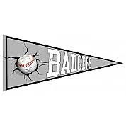 Pennant Badhoevedorp Badgers