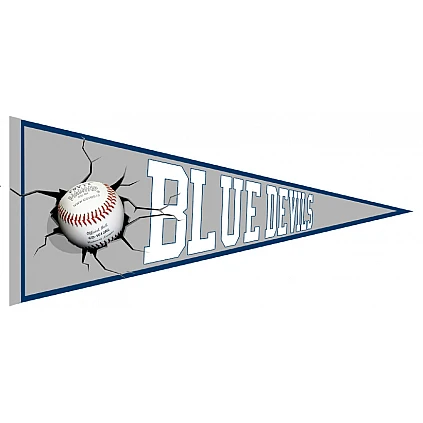 Banderin Blue Devils