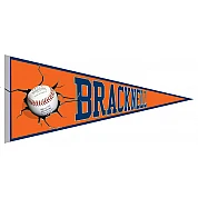 Bracknell Pennant