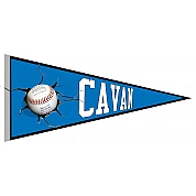 Banderin Cavan Comets