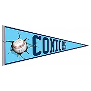 Banderin Condors