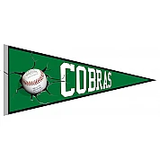 BC Contois cobras Vaantje