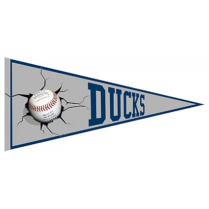 Banderin Ducks