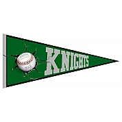 Friburgo Cavalieri Pennant