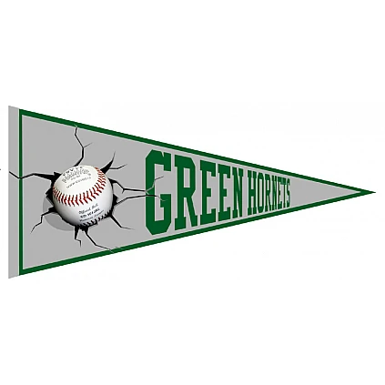 Green Hornets Vaantje