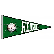 Buxtehude Hedgehogs Pennant