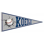 Pennant Koedijk