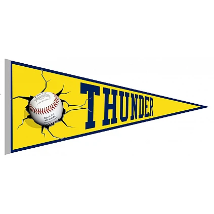 Manchester Thunder Pennant