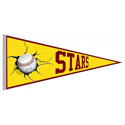 Northern Stars Pennant