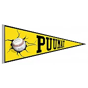 Banderin Puumat Helsinki