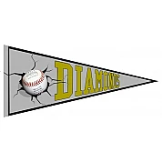 Schwerin Diamonds Pennant