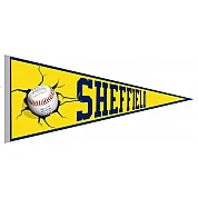 Sheffield Bruins Pennant