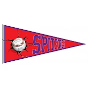Banderin Exeter Spitfires