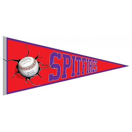 Banderin Exeter Spitfires