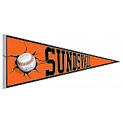 Sundsvall Mosquitoes Pennant