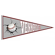 Pennant Vennep Flyers
