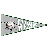 Wassenaar Pennant