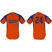 Birds Jersey, 2 Buttons: Flatback Mesh