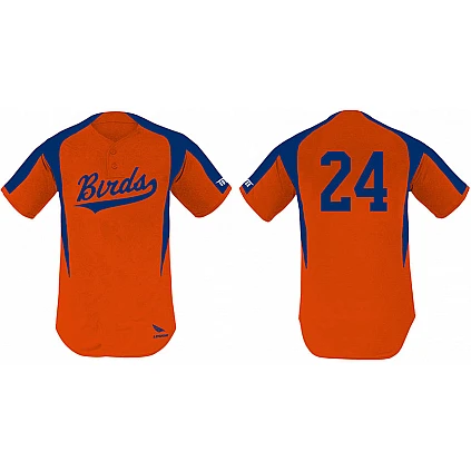 Birds Jersey, 2 Buttons: Flatback Mesh