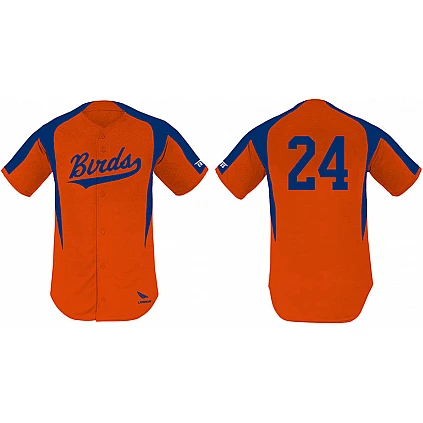 Birds Jersey