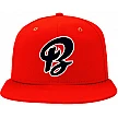 Rapperswil Bandits Pet