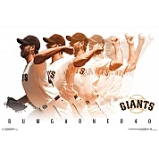 MLB Poster: Madison 15526