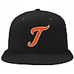 Sunville Tigers Pet