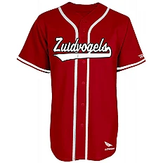 Equipo Zuidvogels