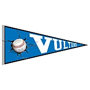 Pennant di Dreieich Vultures