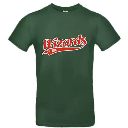 Sudadera Wizards of BOZ