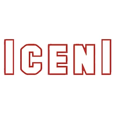 Norwich Iceni Fans
