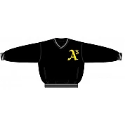 Chaqueta PolyMicro Alphians