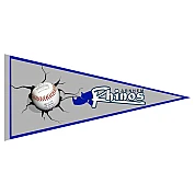 Arnhem Rhinos Pennant