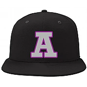 Ashbourne Giants Cap: Grey/Purple