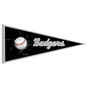 Badhoevedorp Badgers Pennant