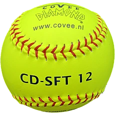 CD-SFT-12 Safety (€5,83)