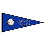 Banderin Blue Hawks