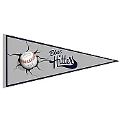 Blue Hitters Vaantje