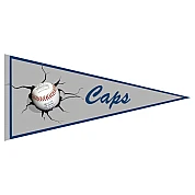 Caps Hoogeveen Vaantje