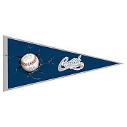 Catch Pennant