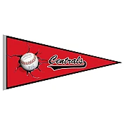 Centrals Pennant