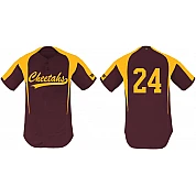 Cheetahs Shirt, 2kn: Flatback Mesh