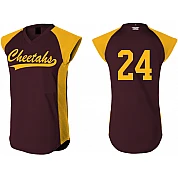 Cheetahs Shirt, Lane: Flatback Mesh