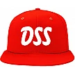 DSS Haarlem Cap