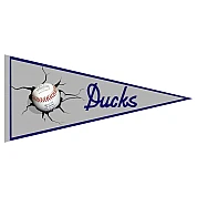Pennant degli Ducks